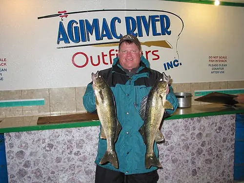 Walleye