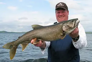Lake Trout