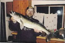 Walleye
